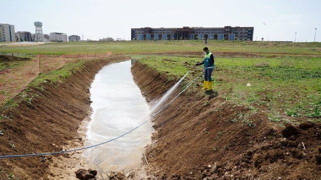 Adıyaman Üniversitesinde İlaçlama Çalışması Yapıldı