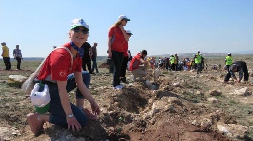 Eskişehir&rsquo;de 10 Bin Meşe Palamudu Toprakla Buluştu