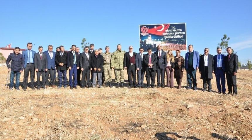 Midyat Cumhuriyet Başsavcılığı Hatıra Ormanı Oluşturdu