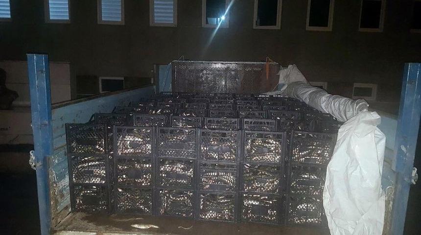 Bitlis’te Kaçak Avlanmaya Geçit Yok