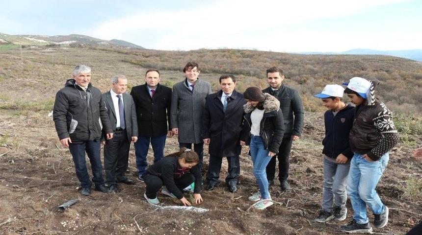 Roman &Ouml;ğrenciler Fidan Dikti