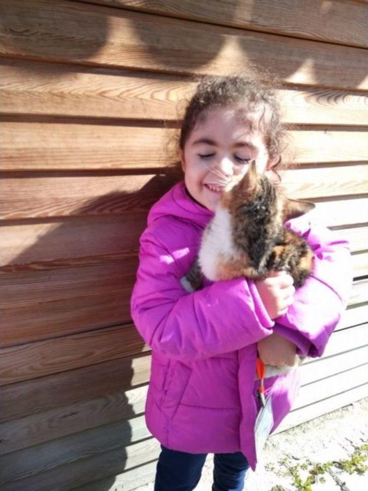 Barınaktaki Hayvanlara 24 Saat Hizmet G5