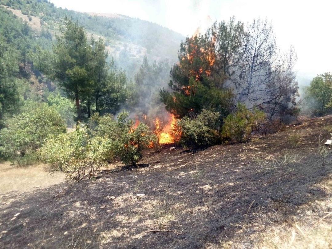 Gördes’te Tarla Yangını