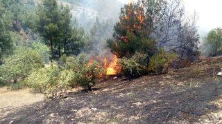 Gördes’te Tarla Yangını