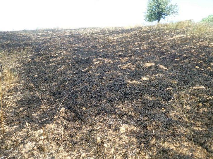 Gördes’te Tarla Yangını G1