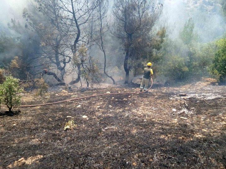 Gördes’te Tarla Yangını G3