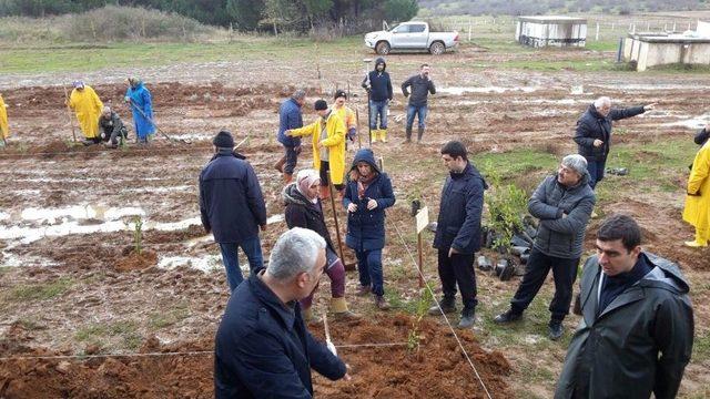 Toprağın Altından Su, Üstünden Bal Akacak