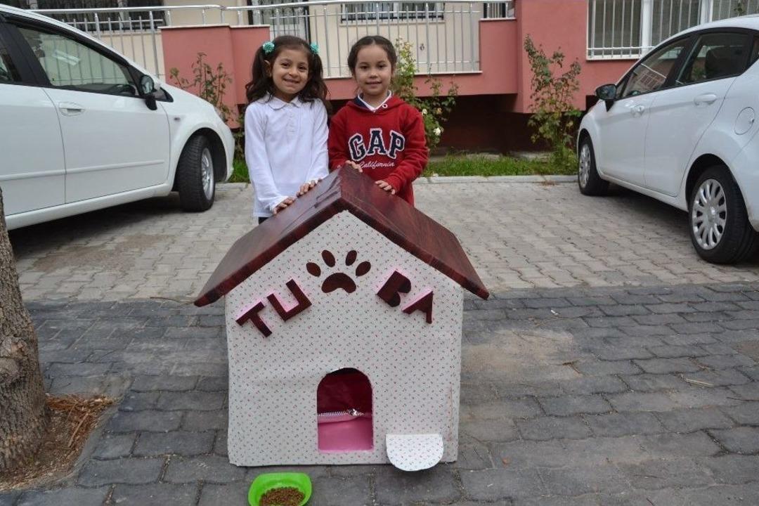 (&ouml;zel Haber) Minikler Hayvanları "ev"lendirdi