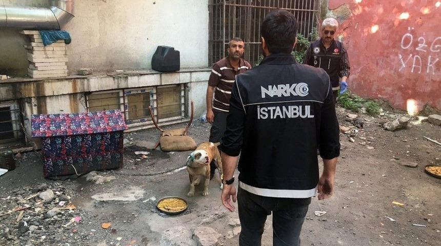 Fatih’te Nefes Kesen Narkotik Operasyonu