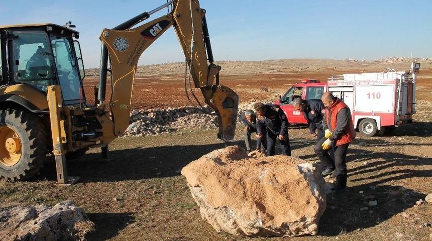 (&ouml;zel Haber) Kuyuya D&uuml;şen K&ouml;peği İtfaiye Ekipleri Kurtardı