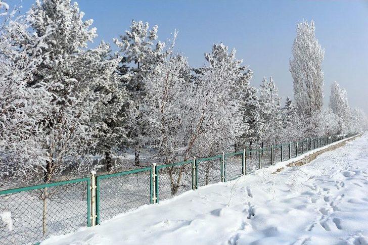 Ağrı’da Kırağı Tutan Ağaçlar Büyüledi G1