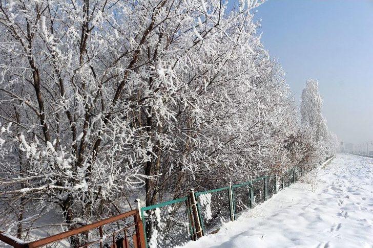 Ağrı’da Kırağı Tutan Ağaçlar Büyüledi G2