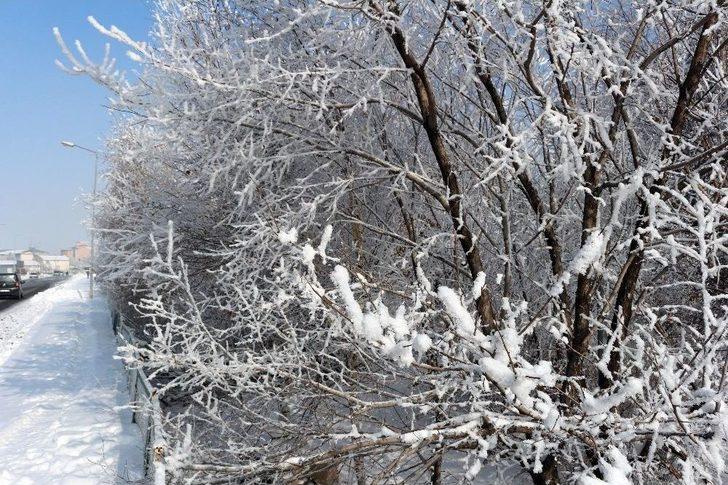 Ağrı’da Kırağı Tutan Ağaçlar Büyüledi G3