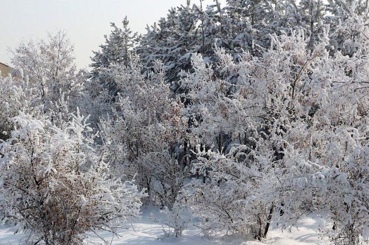 Ağrı’da Kırağı Tutan Ağaçlar Büyüledi G5