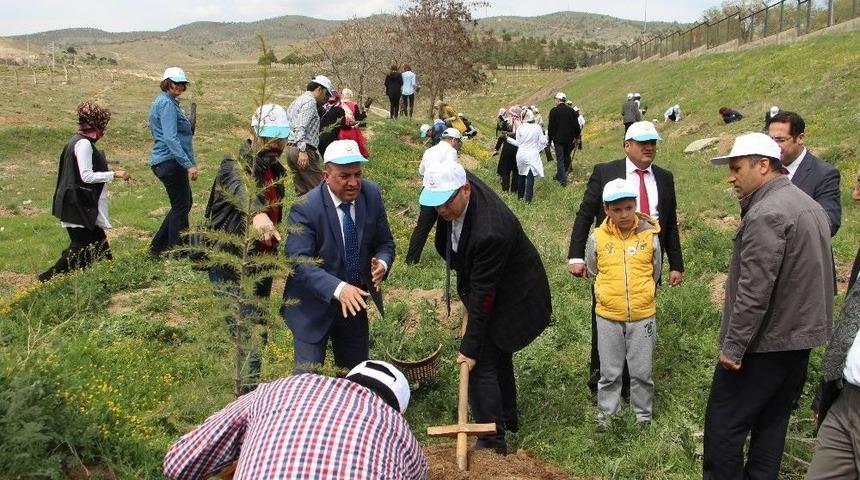 Elazığ&rsquo;da Gard Ormanı Oluşturuldu