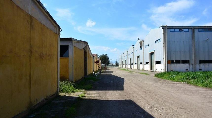 Erbaa&rsquo;da Eski Tekel Ambarları Belediyeye Devredildi