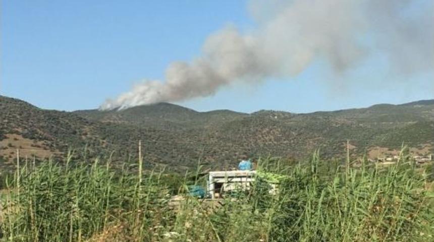 Aydın&rsquo;da Arazi Yangını