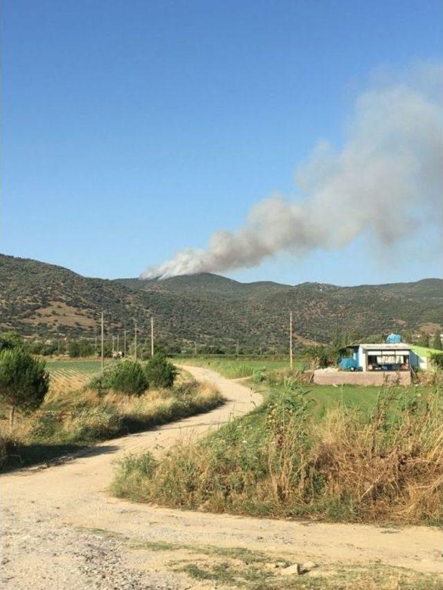 Aydın’da Arazi Yangını