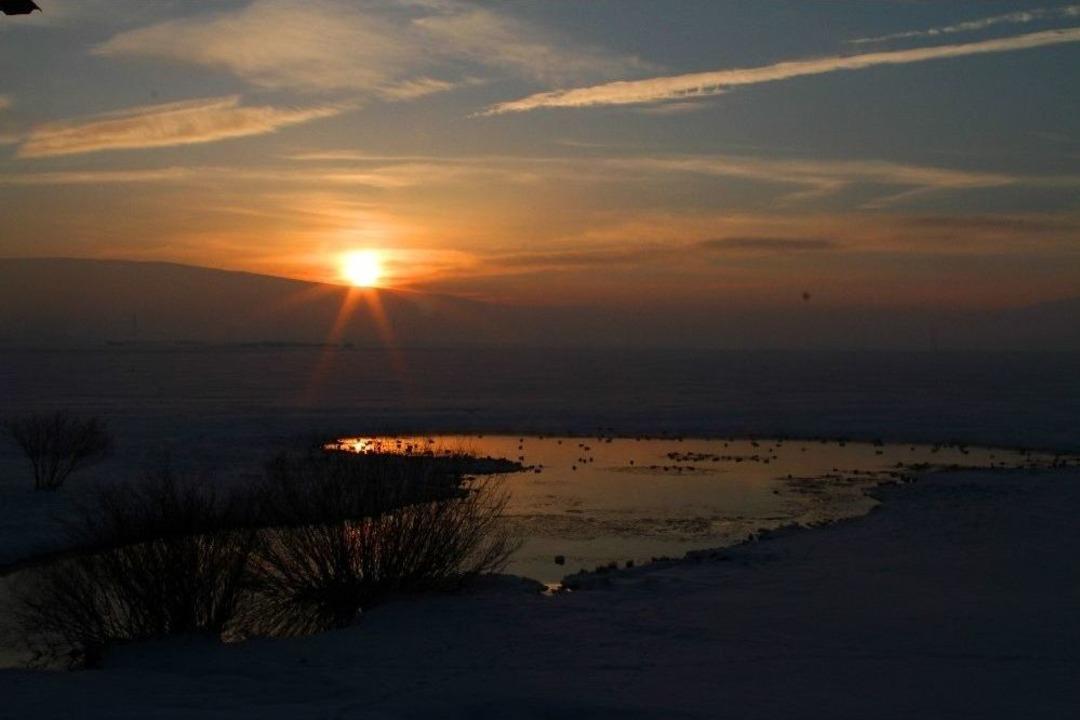 G&uuml;n Atımında &Ouml;rdeklerin Dansı