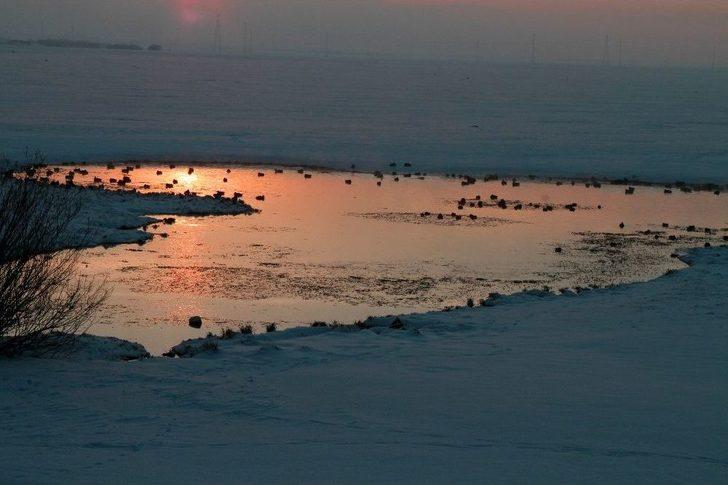 Gün Atımında Ördeklerin Dansı G1