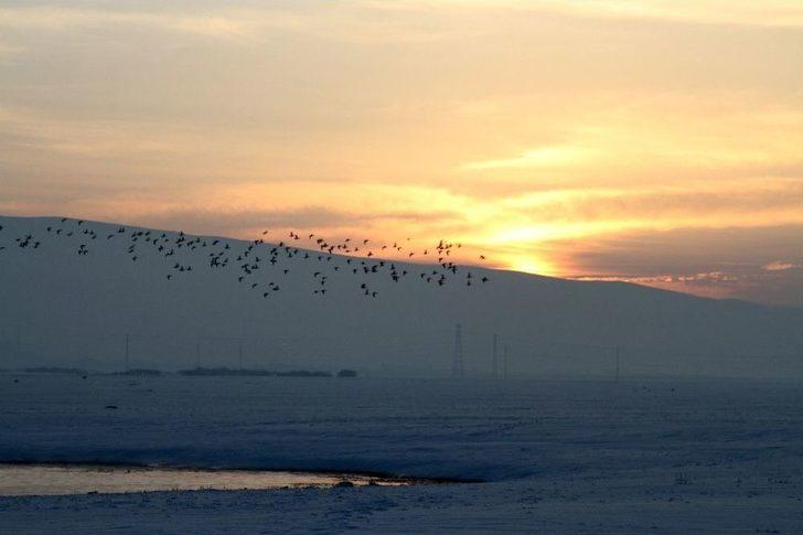 Gün Atımında Ördeklerin Dansı G2