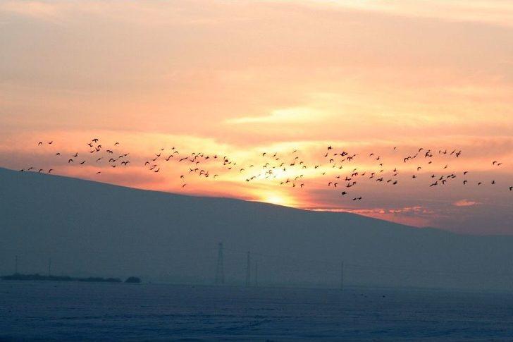 Gün Atımında Ördeklerin Dansı G3