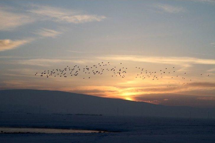 Gün Atımında Ördeklerin Dansı G4