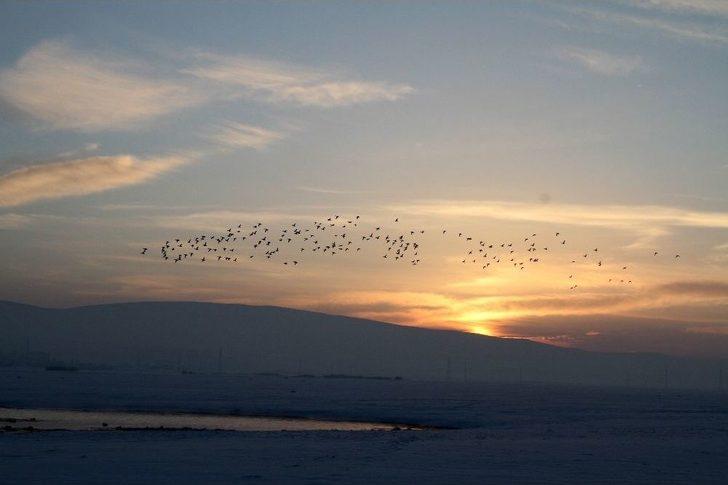 Gün Atımında Ördeklerin Dansı G5