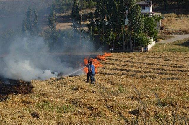 Hatay’da 7 Hektarlık Ormanlık Alan Yandı