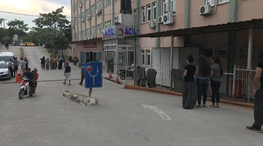 Bonzai Yine Can Aldı