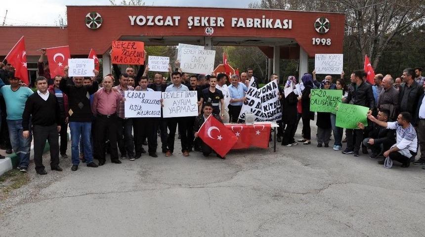 Yozgat Şeker Fabrikası&rsquo;nda &Ccedil;alışan Taşeron İş&ccedil;iler Kadro İstiyor