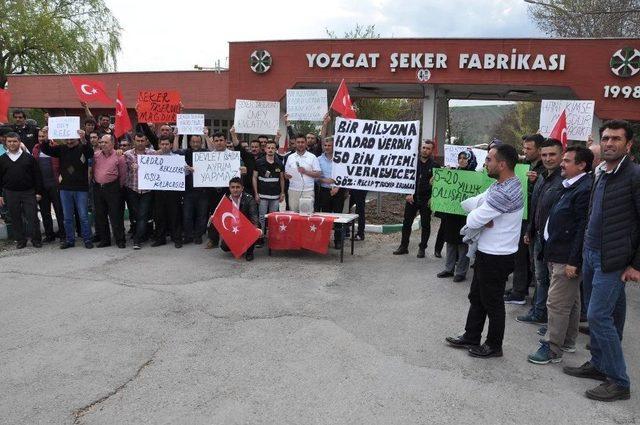 Yozgat Şeker Fabrikası’nda Çalışan Taşeron İşçiler Kadro İstiyor