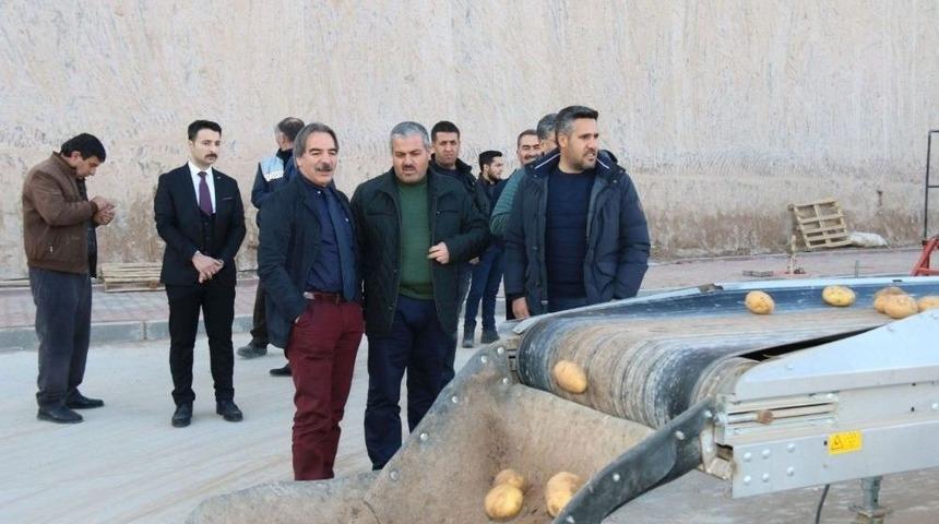 Rekt&ouml;r Bağlı, Kayadan Oyma Doğal Soğuk Hava Depolarını İnceledi