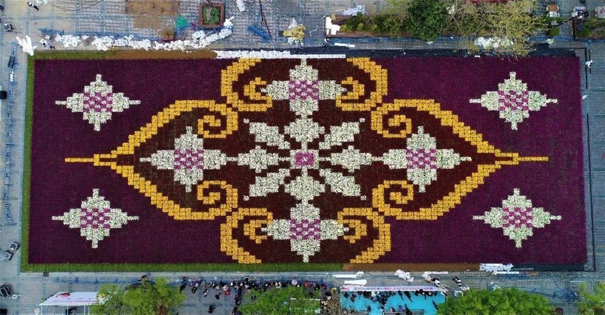 (&ouml;zel Haber) D&uuml;nyanın En B&uuml;y&uuml;k Lale Halısı Havadan G&ouml;r&uuml;nt&uuml;lendi