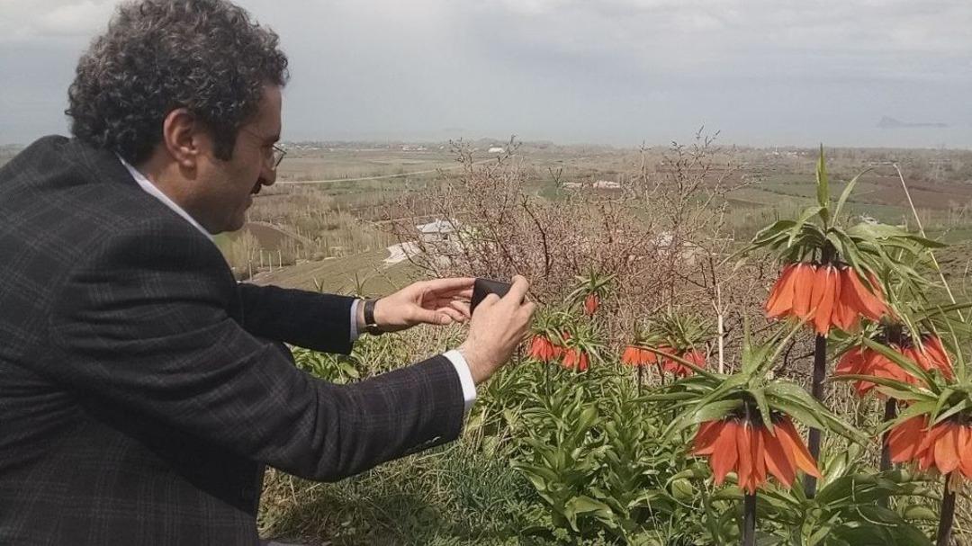 (&ouml;zel Haber) - Van&rsquo;da &lsquo;h&uuml;z&uuml;n &Ccedil;i&ccedil;eği&rsquo; Ters Laleler A&ccedil;tı