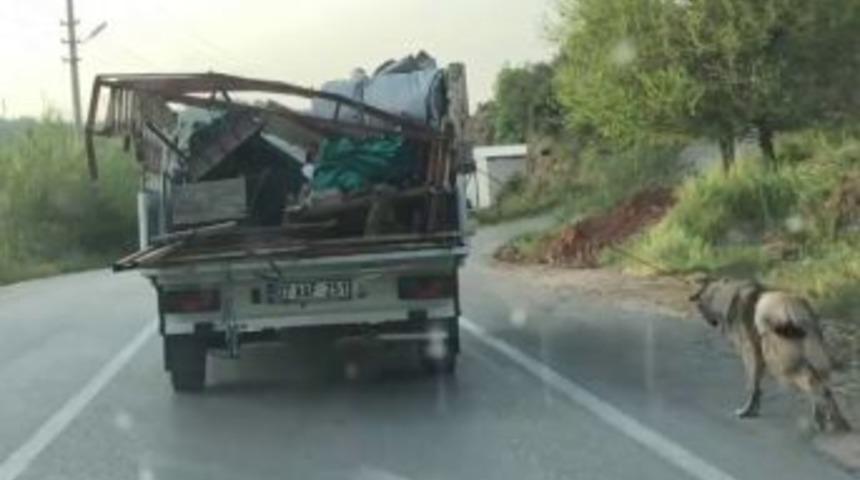 Antalya&rsquo;da K&ouml;peği İple Kamyonetin Arkasına Bağlayıp S&uuml;r&uuml;kledi