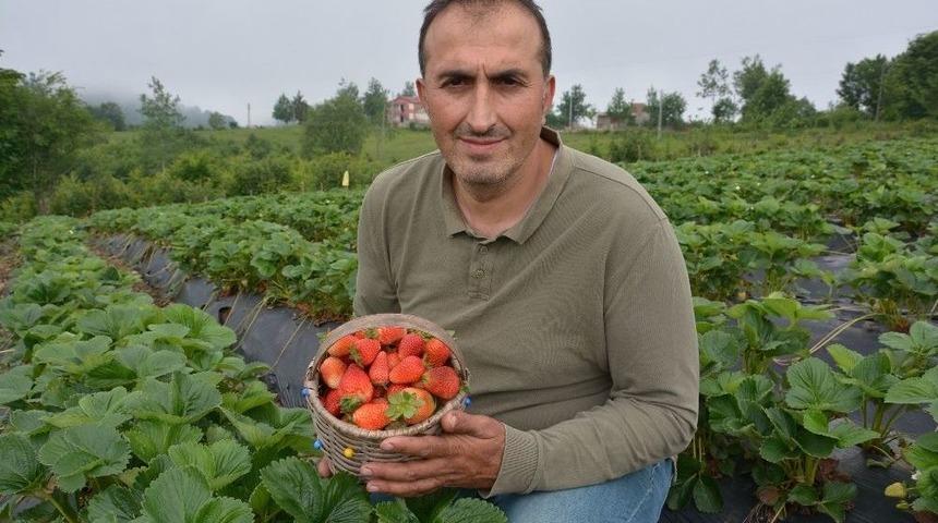 Yetiştirdiği &Ccedil;ileklerle G&ouml;z Dolduruyor