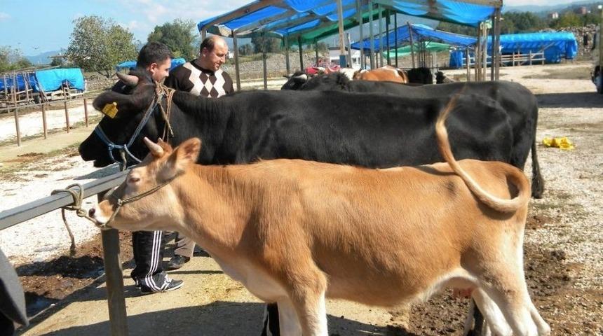 Besiciler Devletten Destek İstiyor