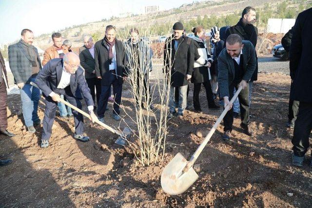 Çiftçi Öğrencilerle Ağaç Dikimini Gerçekleştirdi