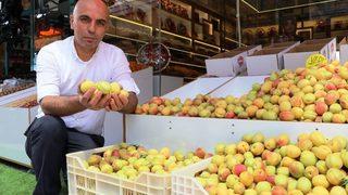 Elma Büyüklüğündeki Kayısılar Görenleri Şaşırtıyor