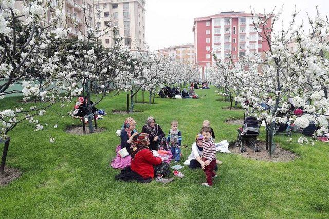 Bağcılar’da Bahar Nostalji Bahçeleri’nde Yaşanıyor