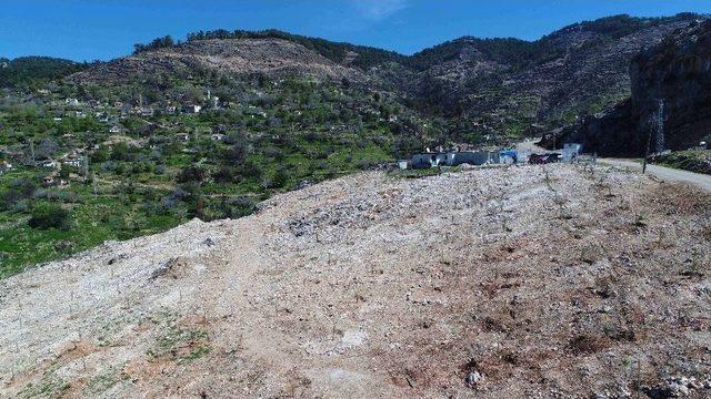 Muğla Zeytinköy Orman Yangınının İzleri Siliniyor 2