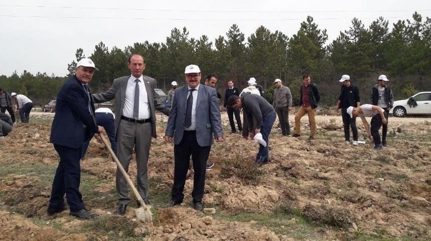 Şaphane&rsquo;de Polis Hatıra Ormanı