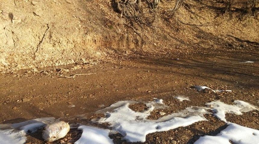 Bitlis&rsquo;te 3 Adet Eyp İmha Edildi