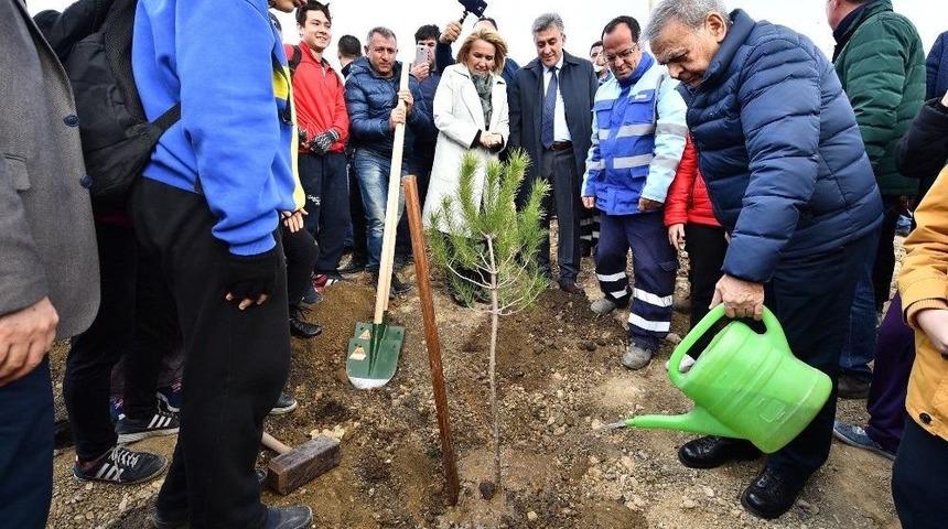 Taş Ocağıydı Şimdi Orman Olacak