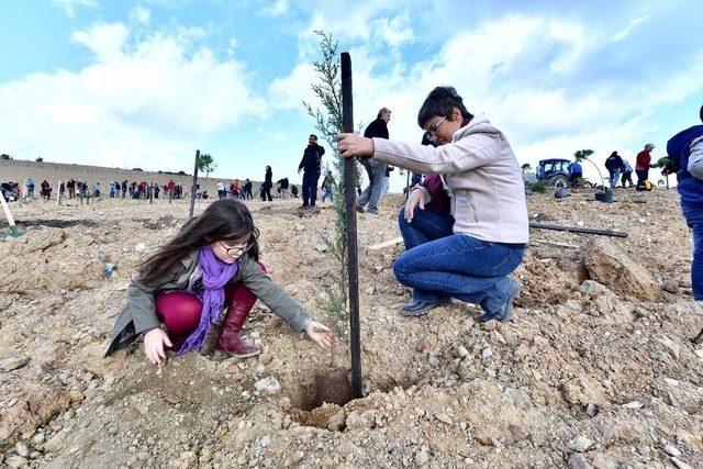 Taş Ocağıydı Şimdi Orman Olacak