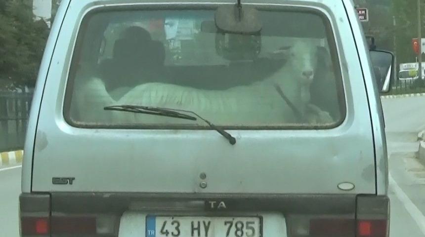 Ke&ccedil;ilerin Minib&uuml;sle Yolculuğu