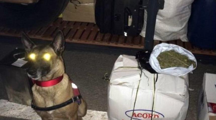 &rsquo;&ccedil;ıtır&rsquo; Affetmedi