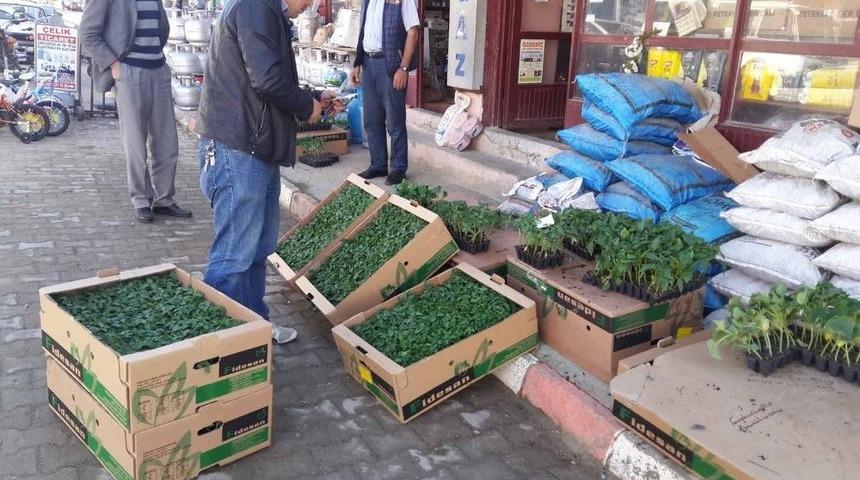 Sezonun İlk Fideleri Dikiliyor