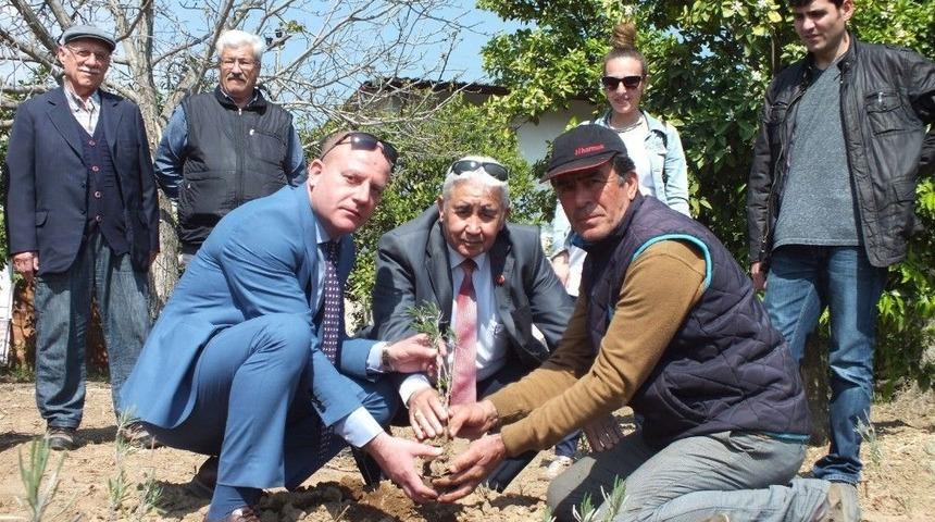 Seydikemer’den Sonra Milas’ta Denenecek